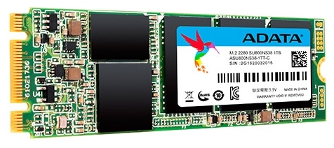 Фото Жесткий диск SSD ADATA SU800 1TB M.2 (ASU800NS38-1TT-C)