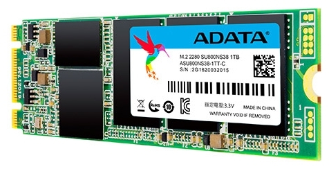 Фотография Жесткий диск SSD ADATA SU800 1TB M.2 (ASU800NS38-1TT-C)