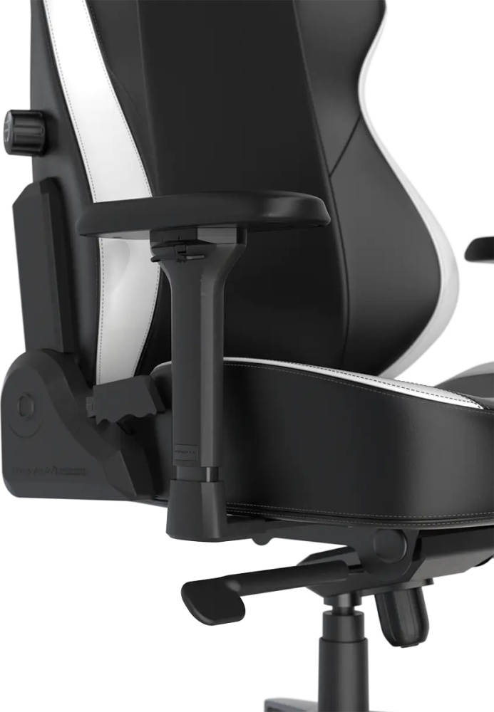 Картинка Игровое компьютерное кресло DXRACER Craft Standard F-23 Black-White (GC/LCF23LTA/NW)