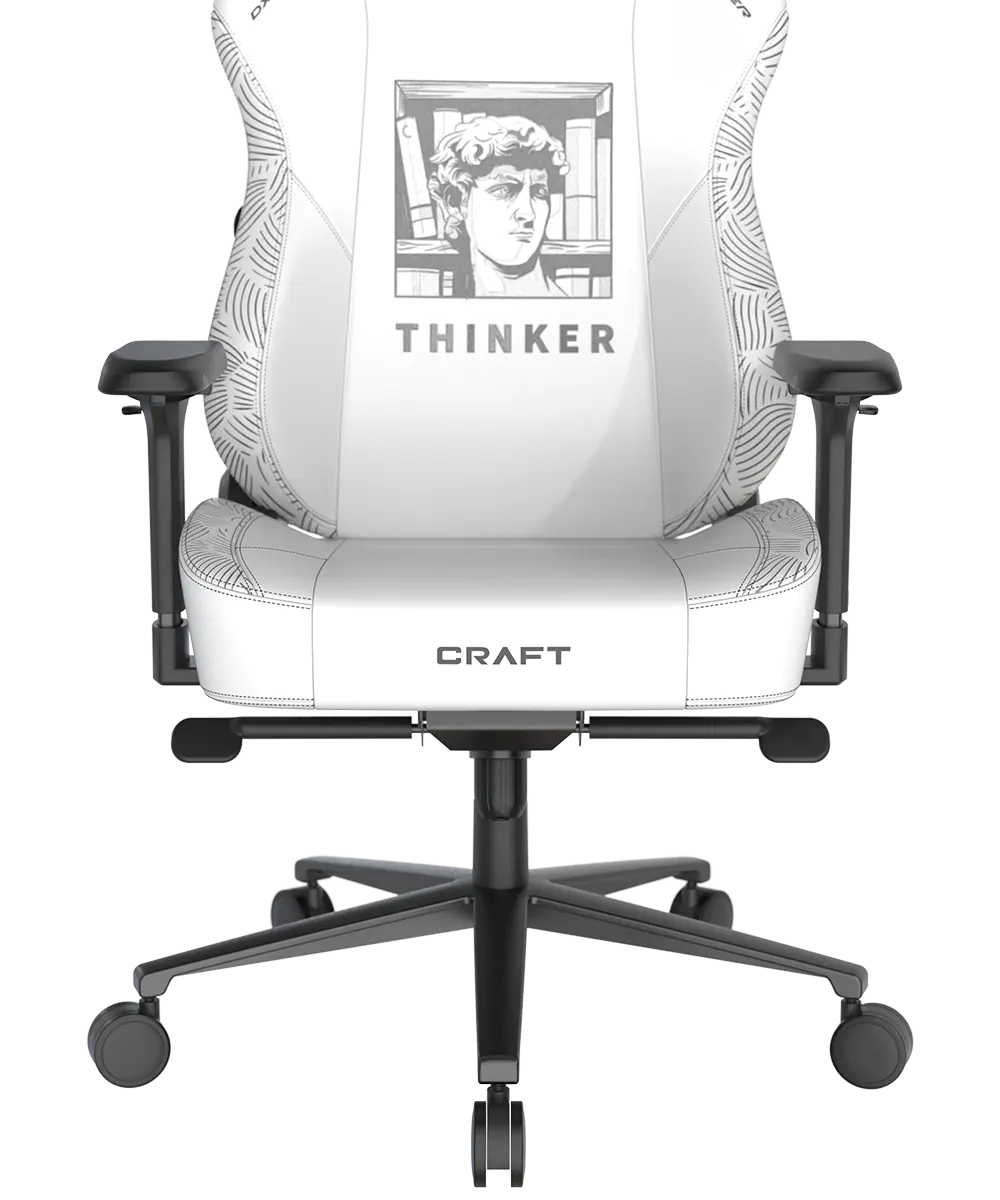 Картинка Игровое компьютерное кресло DXRACER Craft Standard F-23 Thinker (GC/LCF23LTA)