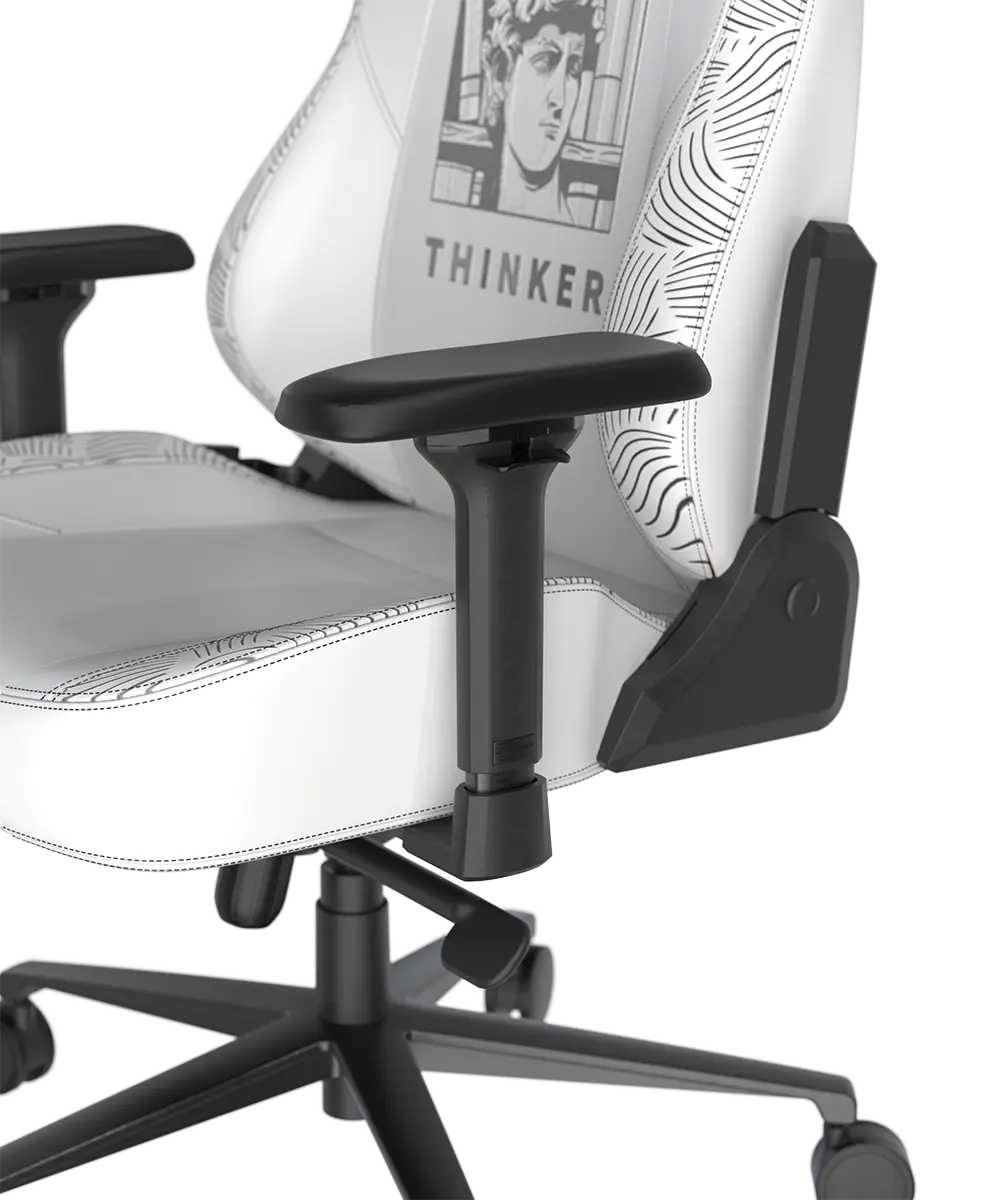 Цена Игровое компьютерное кресло DXRACER Craft Standard F-23 Thinker (GC/LCF23LTA)