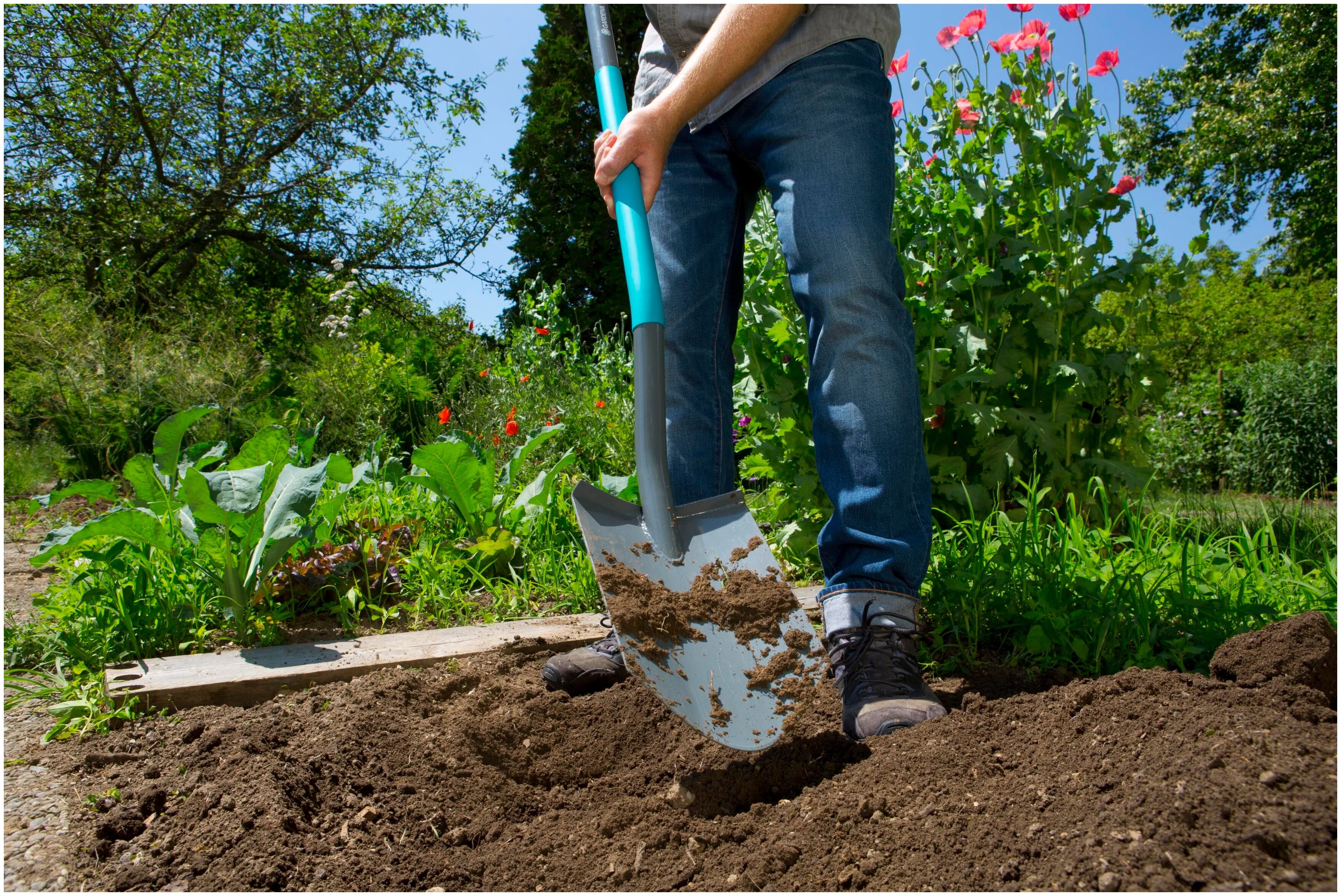 Фотография Лопата GARDENA 17051-20 штыковая ClassicLine