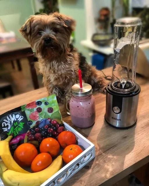 Блендер Kitfort KT-1374 Казахстан