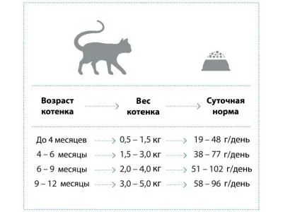 Фото NP Kitten корм д.растущ.кошек до 2+1 кг АКЦИЯ