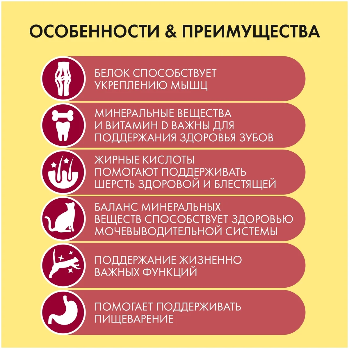 Корм для кошек PURINA Friskies говядина 85 гр заказать Корм для кошек PURINA Friskies говядина 85 гр заказать