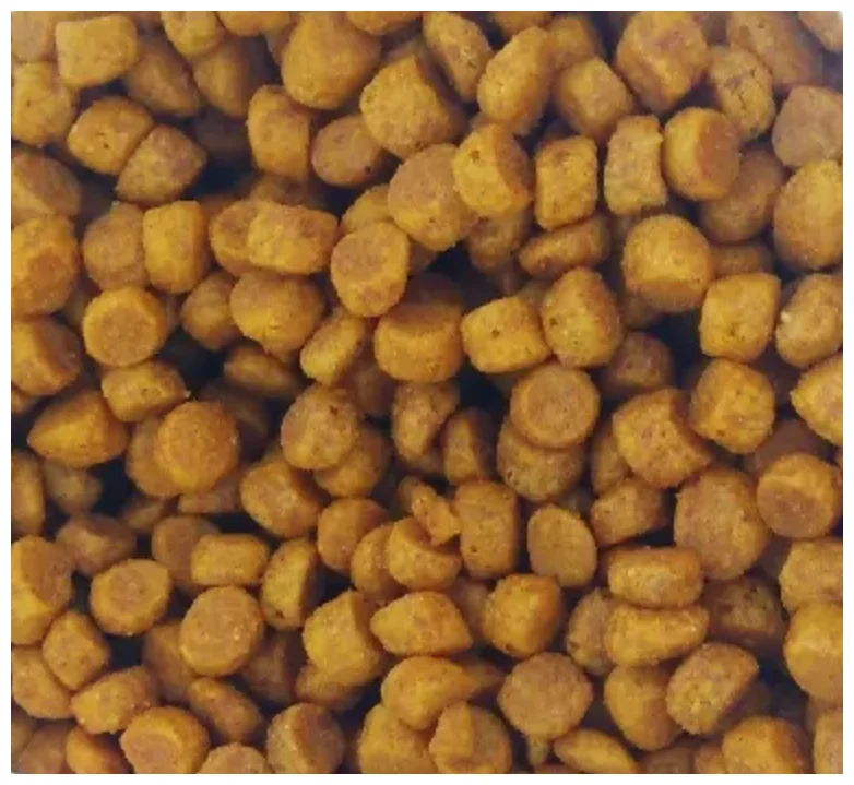 Цена Корм для кошек PURINA Pro Plan Cat д/котят чувств.пищ. индейка 400 гр