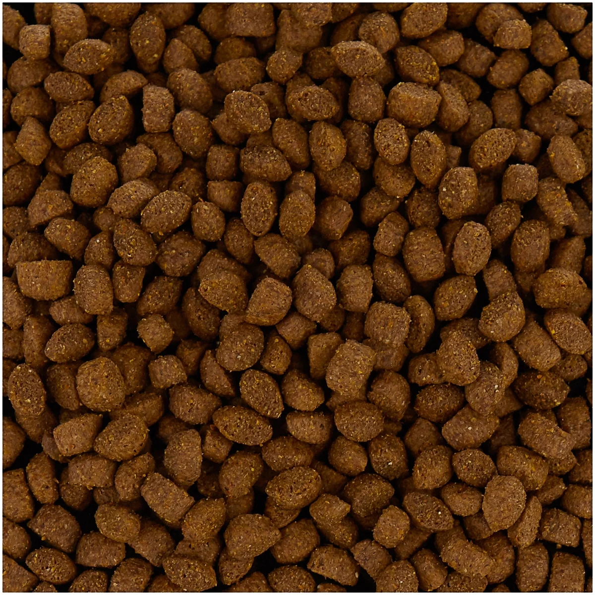 Фотография Корм GEMON DOG MINI ADULTСУХОЙ КОРМ ДЛЯ МЕЛКИХ ПОРОД СОБАК С КУРИЦЕЙ И РИСОМ 3 000 гр