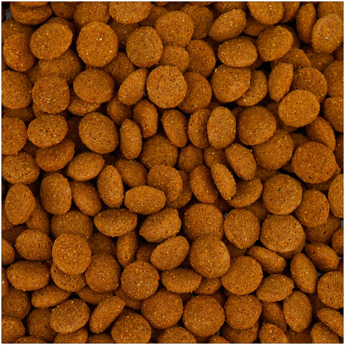 Фотография Корм GEMON DOG MAXI ADULTСУХОЙ КОРМ ДЛЯ КРУПНЫХ ПОРОД СОБАК С КУРИЦЕЙ И РИСОМ 15 000 гр