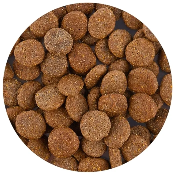 Фото Корм MONGE DOG ADULT для взрослых собак с бараниной, рисом и картофелем 12 кг