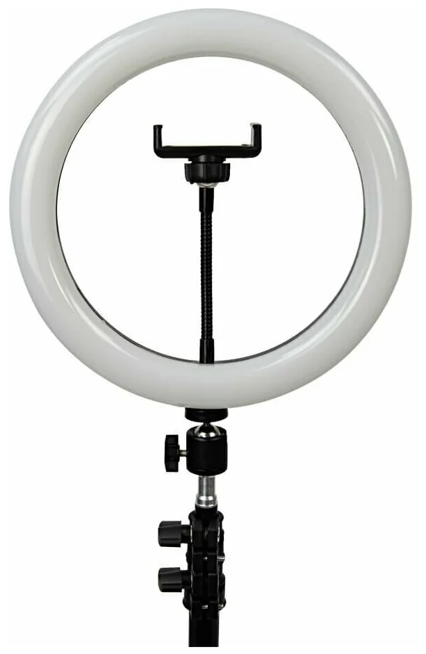 Картинка Кольцевая лампа SELFIE RING Ring Fill Light ZD666 26 см Black