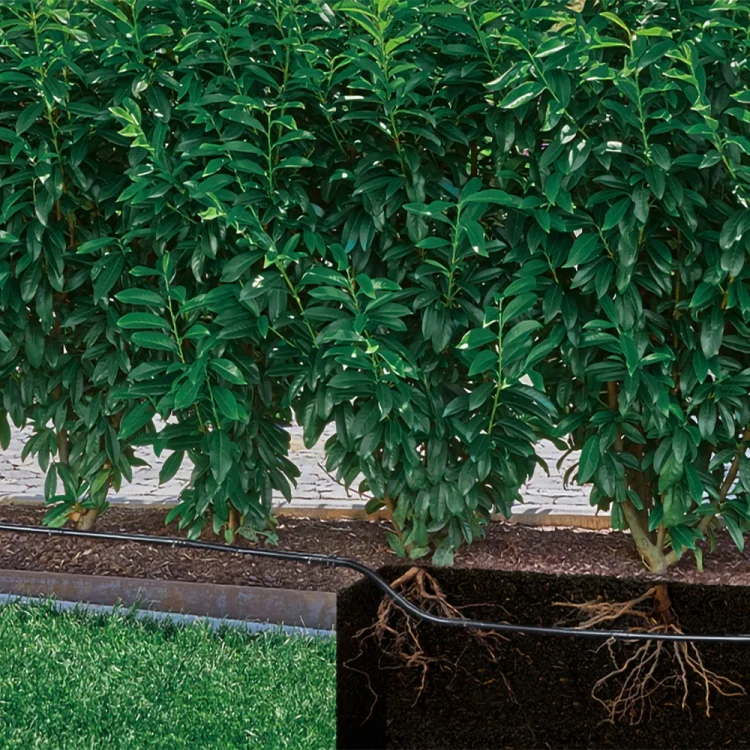 Цена Комплект для полива GARDENA 13501-20 Цена Комплект для полива GARDENA 13501-20