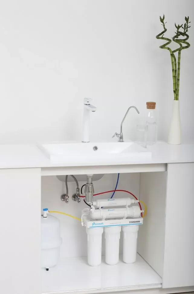 Картинка Фильтр обратного осмоса ECOSOFT Standard 5-50P с помпой и минерализатором (1 уголь.картридж) (MO550MPECOSTD)