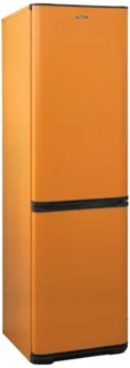 Фото Холодильник БИРЮСА T380NF