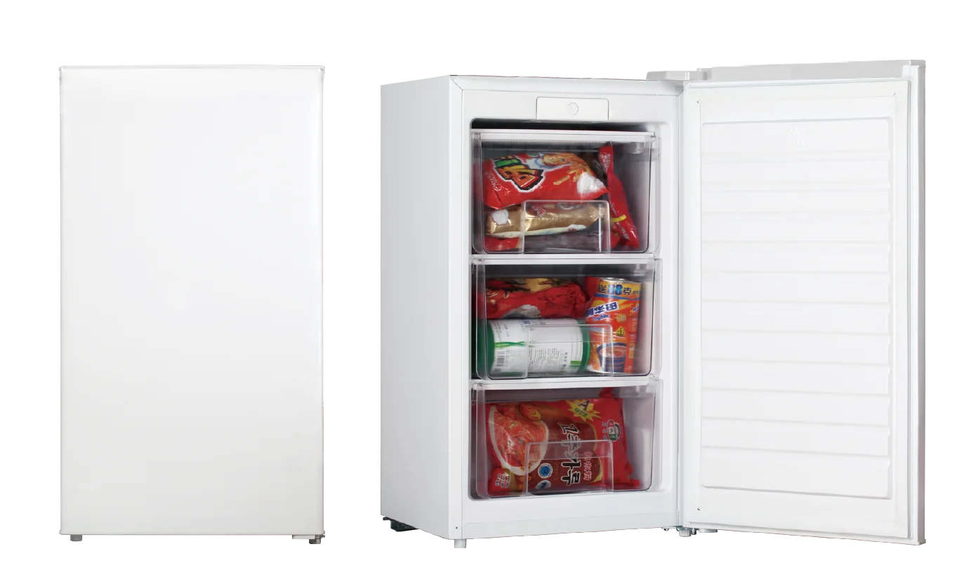 Фото Морозильная камера SKYWORTH SRS-65DB White