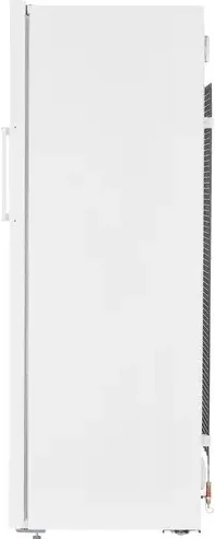 Картинка Морозильная камера BEKO RFNK290T21W