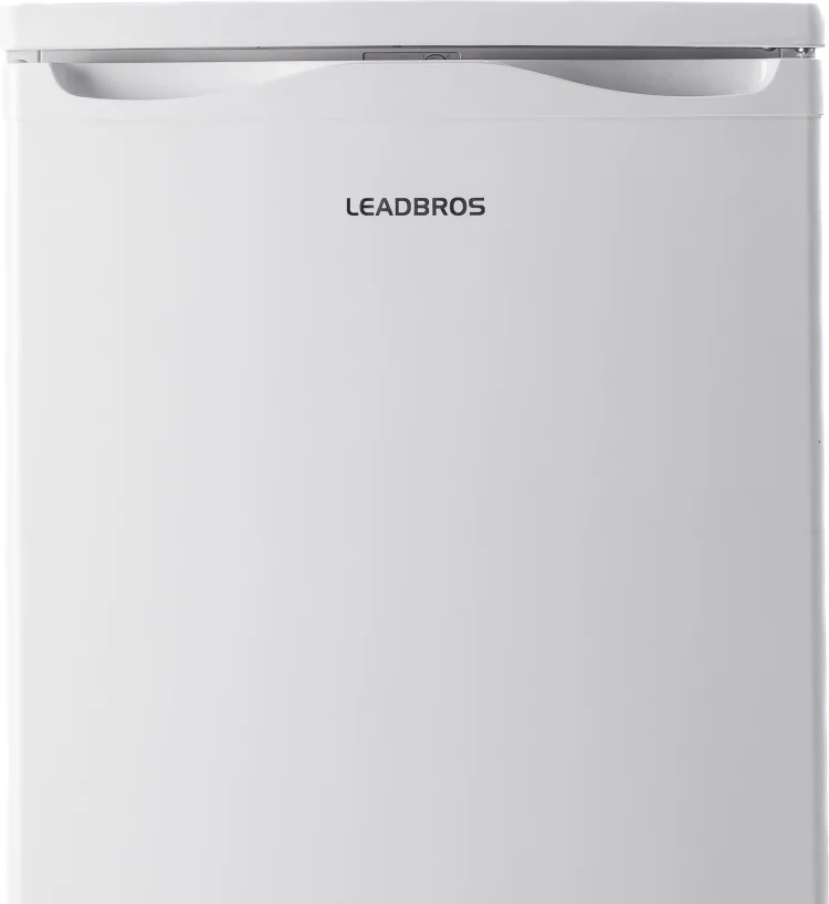 Цена Морозильная камера LEADBROS HD-202 White