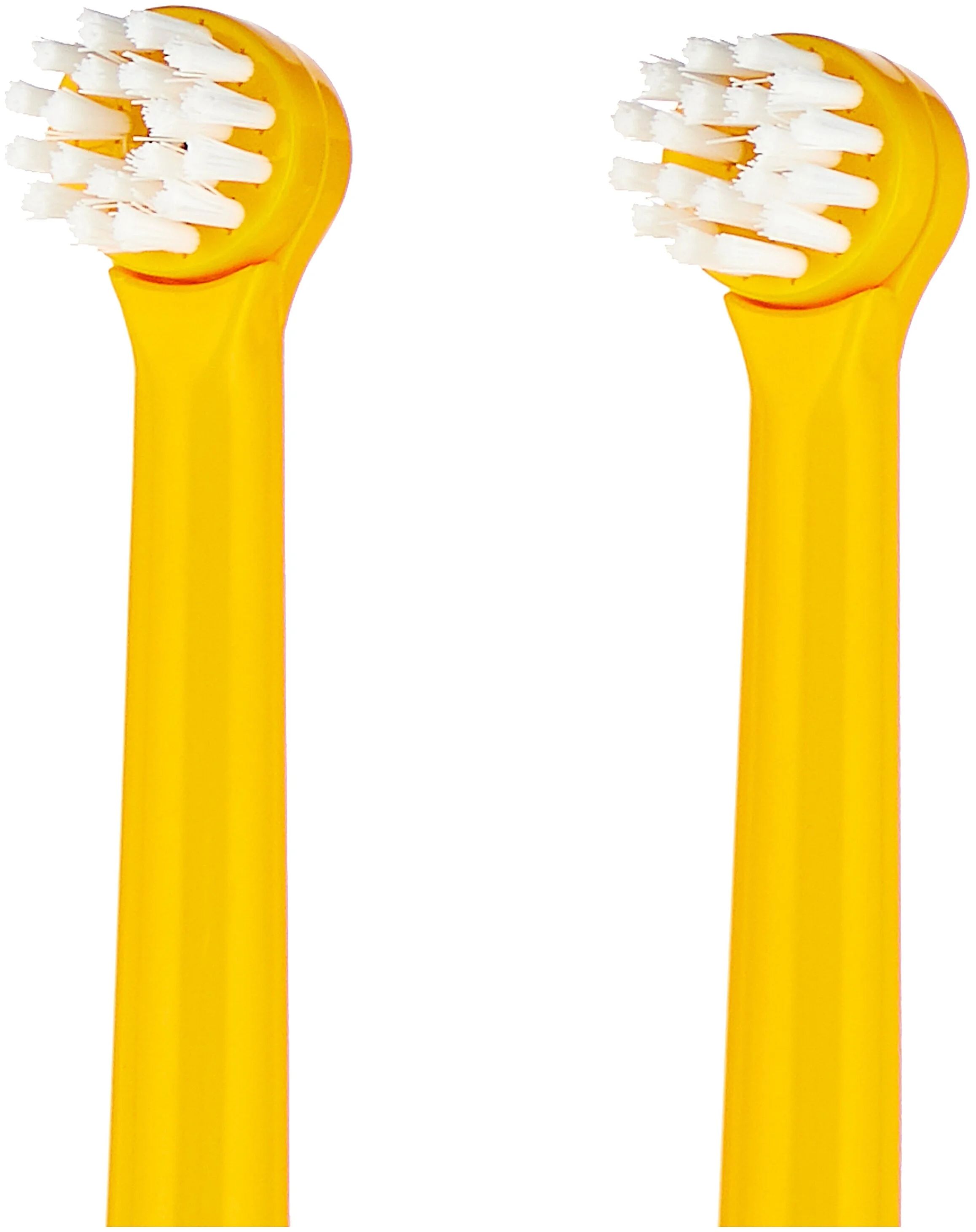 Фотография Насадки CS Medica RP-62-P для электрической зубной щетки CS Medica KIDS CS-462-P (2шт.) Фотография Насадки CS Medica RP-62-P для электрической зубной щетки CS Medica KIDS CS-462-P (2шт.)