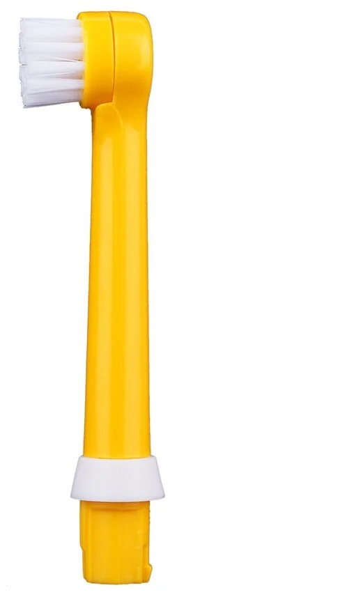 Насадки CS Medica RP-62-P для электрической зубной щетки CS Medica KIDS CS-462-P (2шт.) заказать Насадки CS Medica RP-62-P для электрической зубной щетки CS Medica KIDS CS-462-P (2шт.) заказать