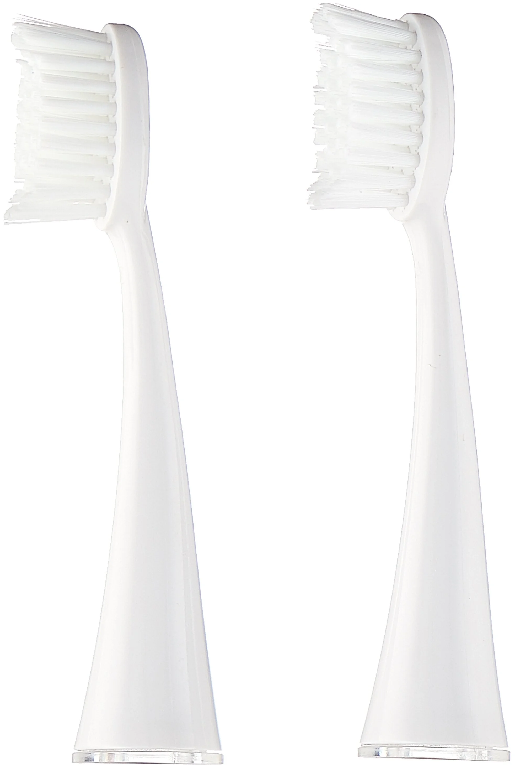 Фотография Насадки CS Medica SP-31-WT для зубной щетки CS Medica CS-333-WT (2шт.) Фотография Насадки CS Medica SP-31-WT для зубной щетки CS Medica CS-333-WT (2шт.)