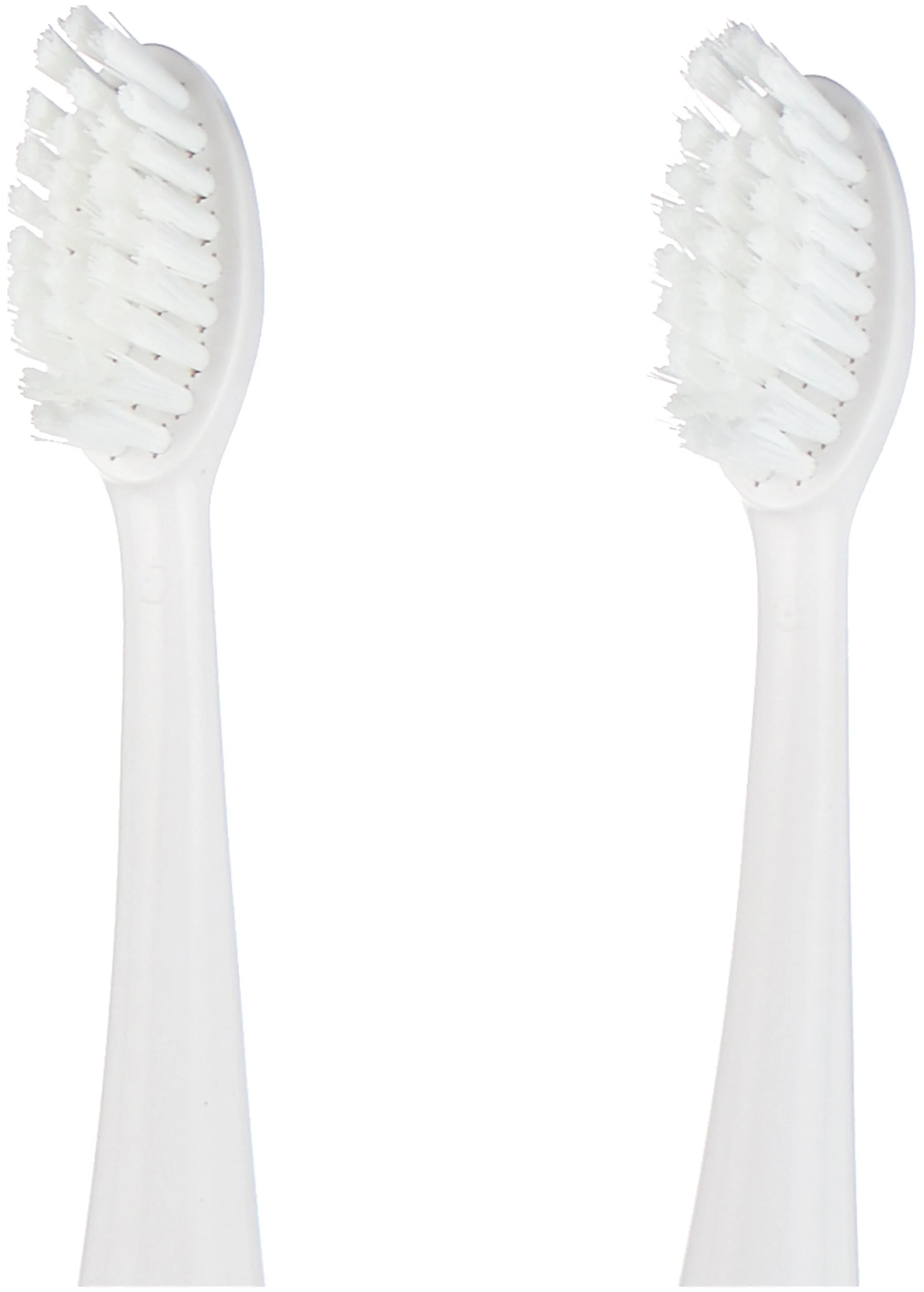 Картинка Насадки CS Medica SP-31-WT для зубной щетки CS Medica CS-333-WT (2шт.) Картинка Насадки CS Medica SP-31-WT для зубной щетки CS Medica CS-333-WT (2шт.)