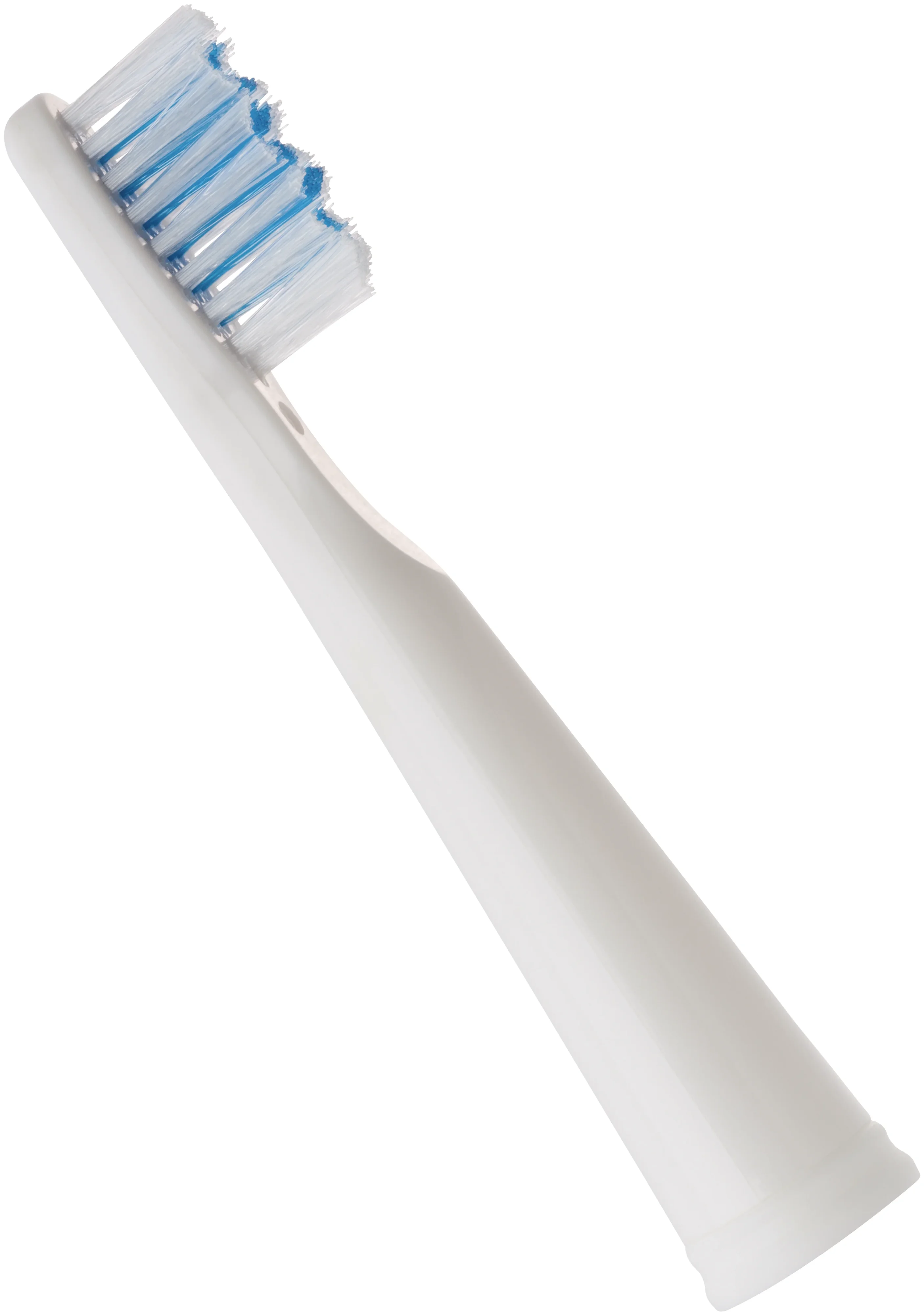 Фото Насадки CS Medica SP-21 для зубных щеток CS Medica CS-262/CS-233-UV (2шт.)