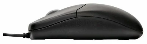 Фото Мышь TRUST Optical Black