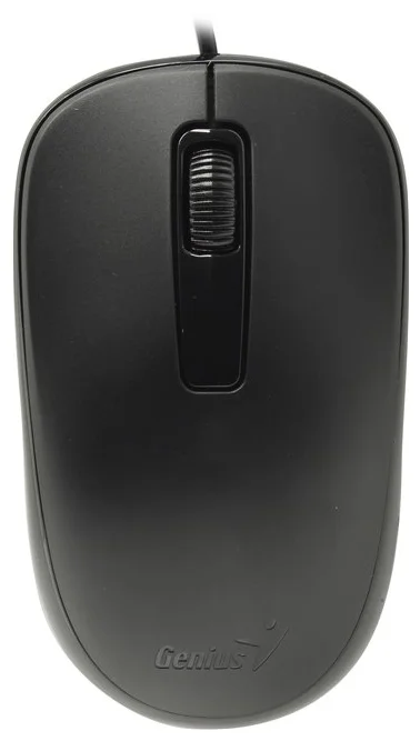 Мышь GENIUS DX-125 Black 31010106100