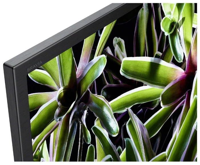 LED телевизор SONY KD49XG7096BR заказать
