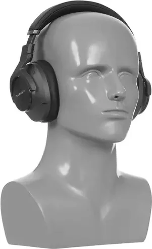 Наушники TECHNICS EAH-A800G-K заказать