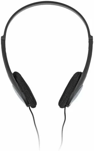 Фото Наушники PANASONIC RP-HT010GU-H