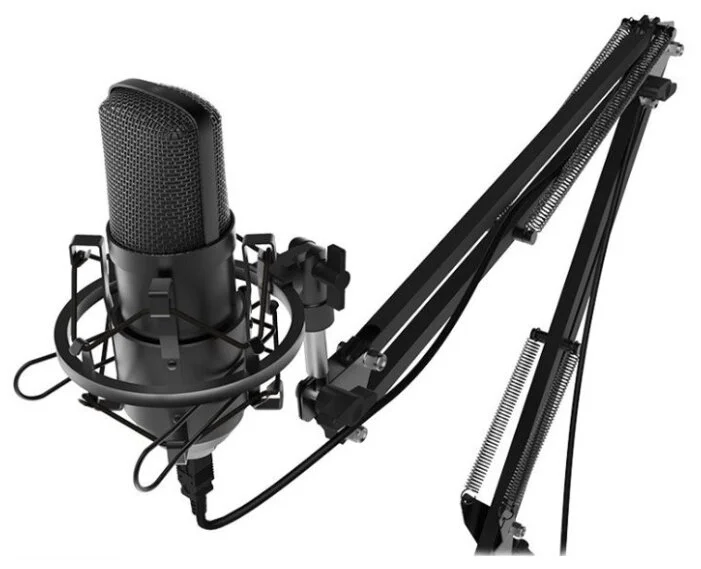 Микрофон RITMIX RDM-169 Black