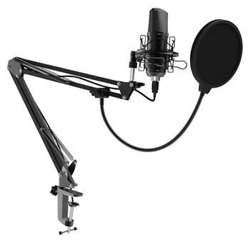 Фото Микрофон RITMIX RDM-169 Black