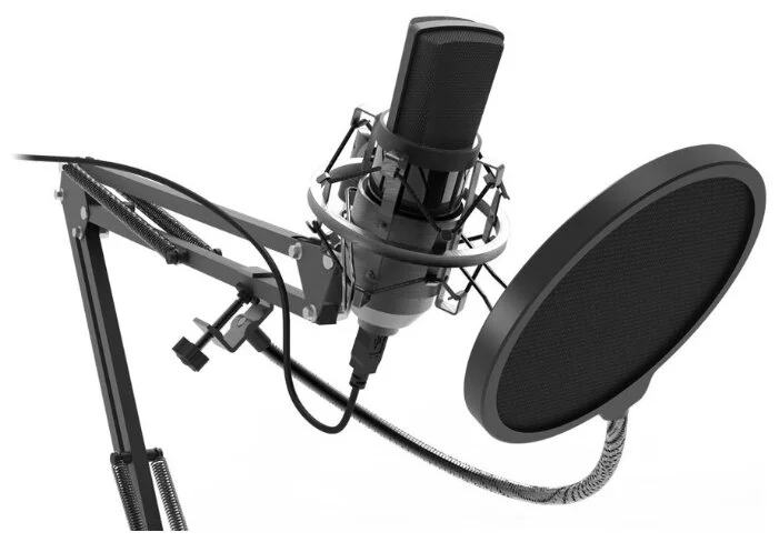 Фотография Микрофон RITMIX RDM-169 Black