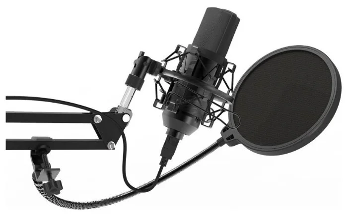 Картинка Микрофон RITMIX RDM-169 Black