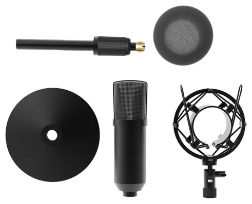 Фотография Микрофон RITMIX RDM-175 Black