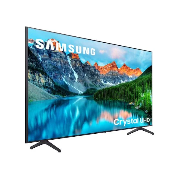 Фотография LFD телевизор Samsung BE55T