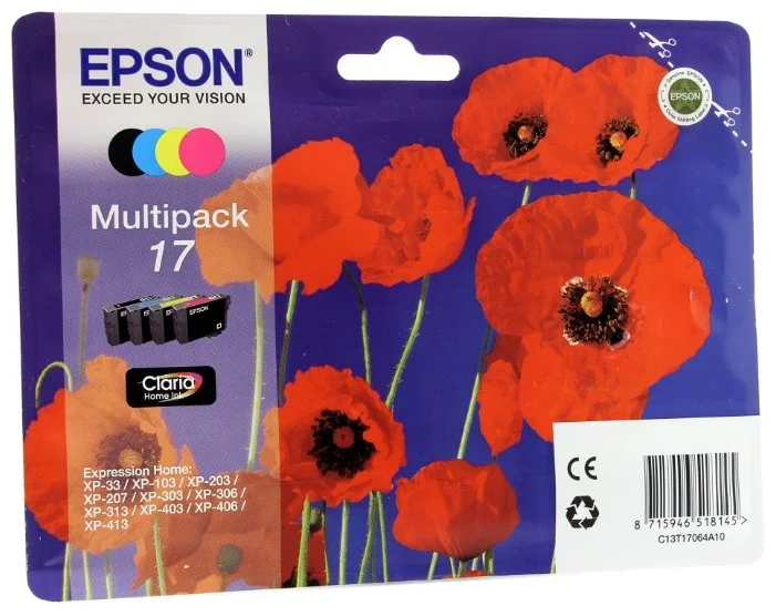 Фото Картридж EPSON C13T17064A10