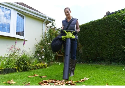 Цена Воздуходувка RYOBI RBV3000CSV