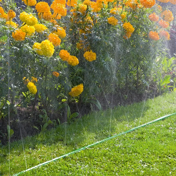 Фотография Шланг GARDENA 7,5м 01995-20