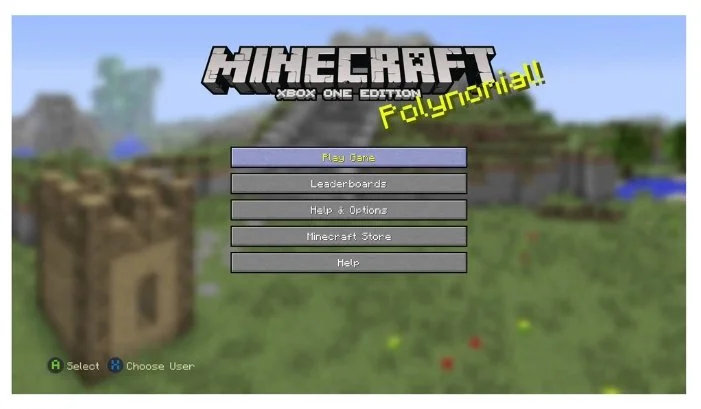 Купить Игра для PS4 Minecraft
