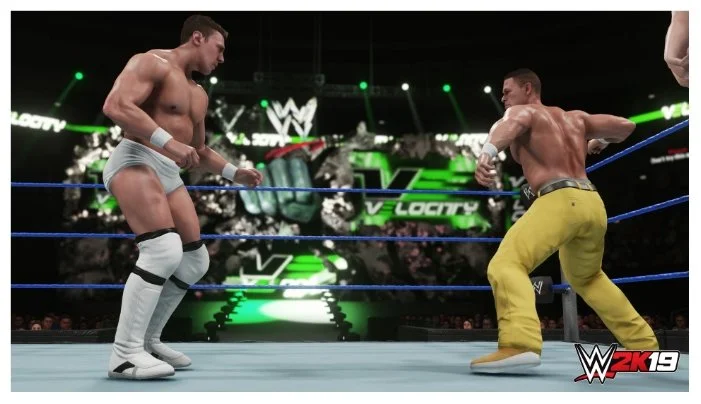 Купить Игра для PS4 WWE 2K19