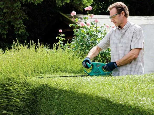 Фото Кусторез BOSCH AHS 50-16 (0600847B00)