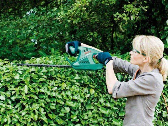 Картинка Кусторез BOSCH AHS 50-16 (0600847B00)