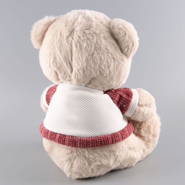 Фото Мягкая игрушка BULU-XIONG &amp;amp;quot;Медвежонок в голуб./бордов.футболке&amp;amp;quot; 30 см BL-5954-1B