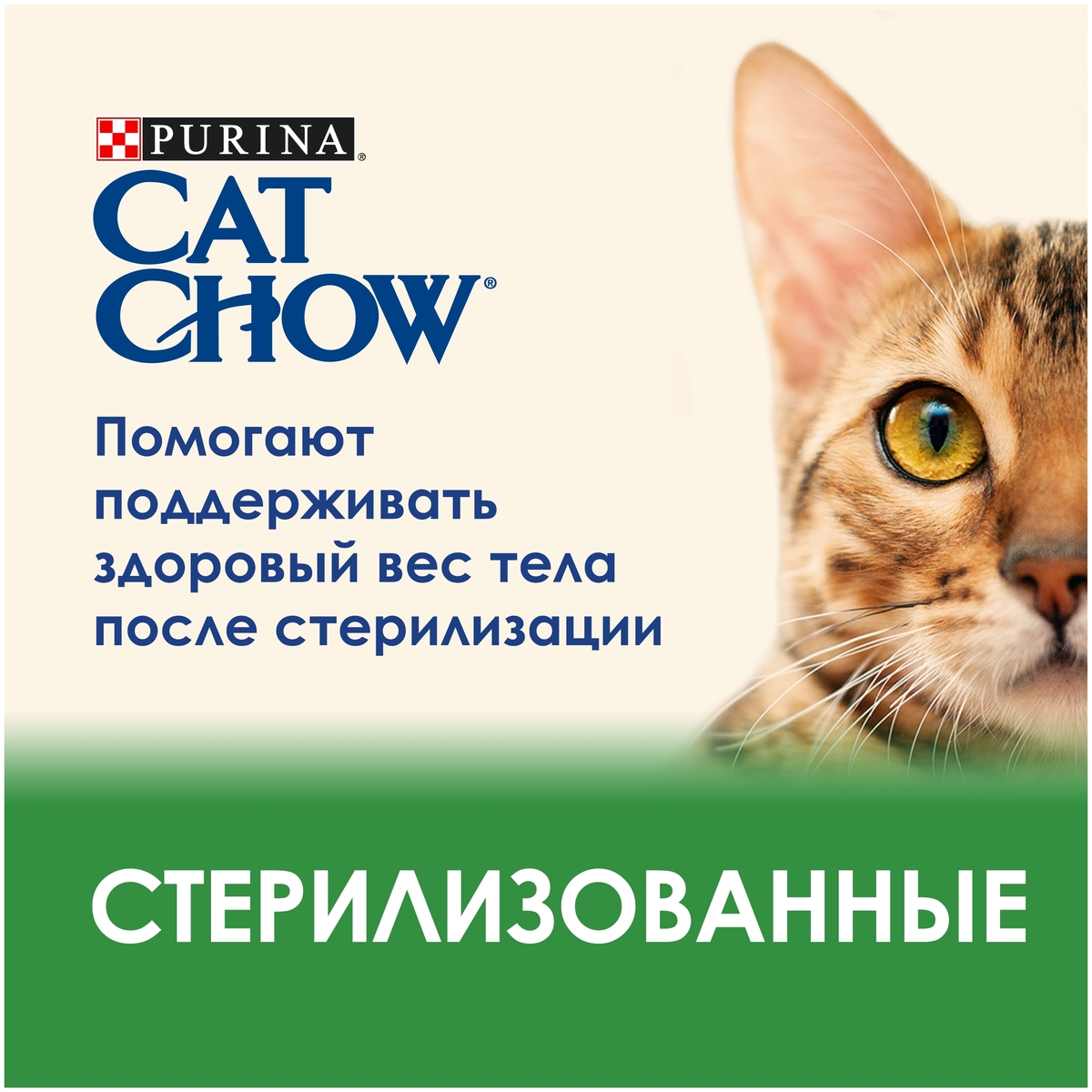 Цена Корм для кошек PURINA Cat Chow ягненок/фасоль 85 гр