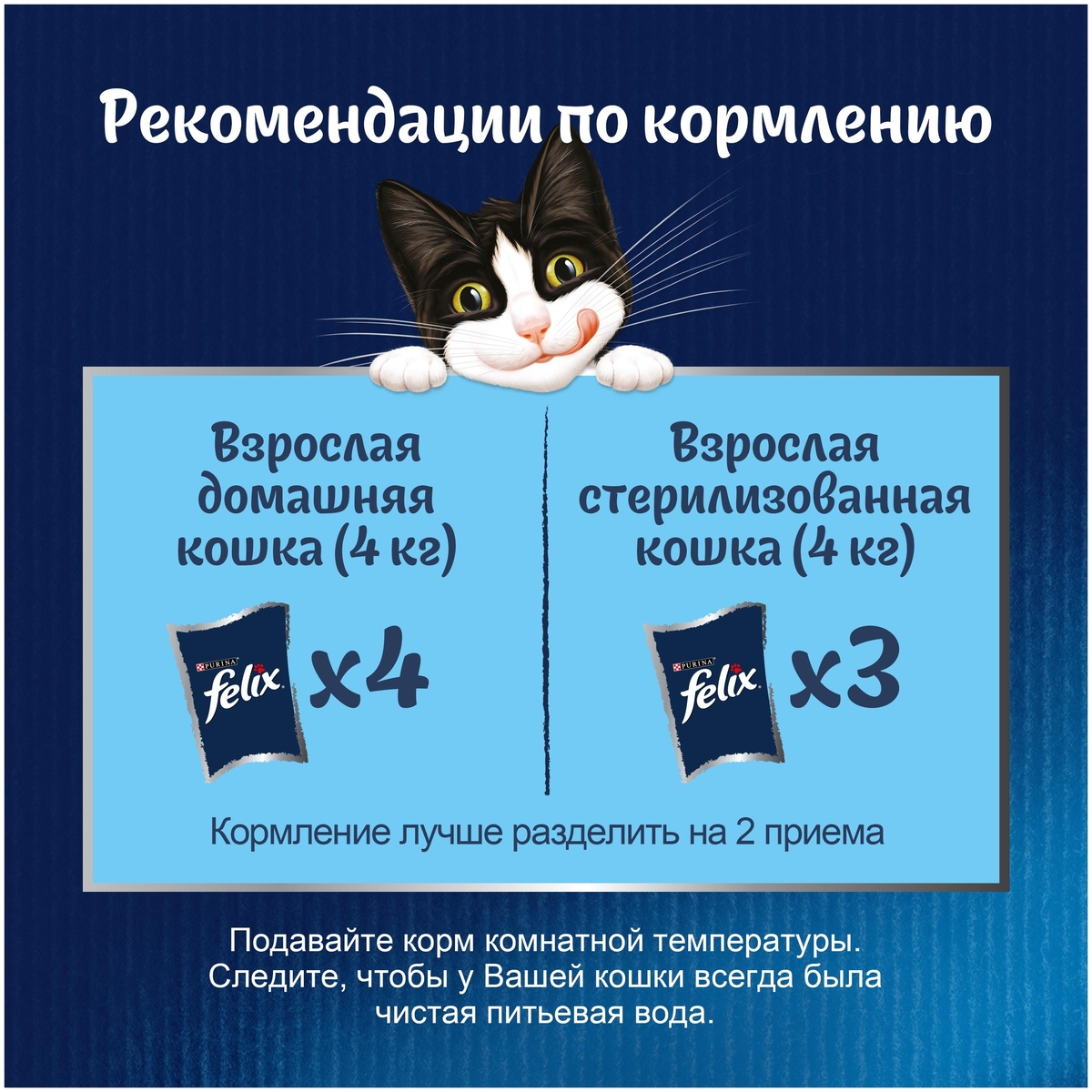 Корм для кошек PURINA Felix индейка/бекон в соусе 85 гр заказать