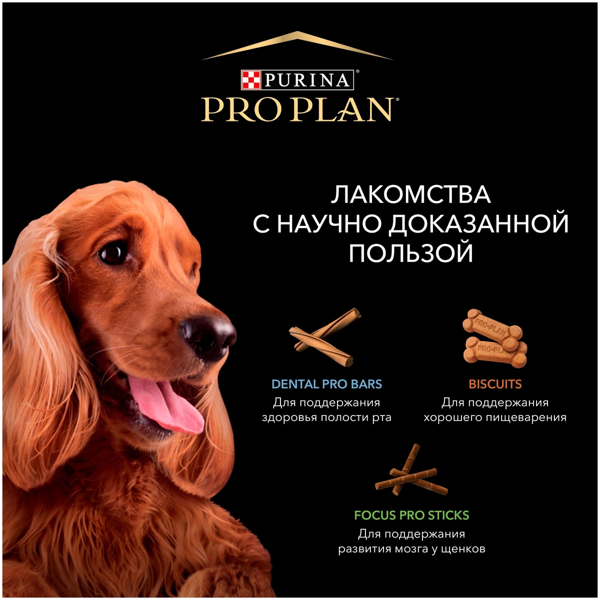 Корм для собак PURINA Pro Plan Dental ProBar Small&Mini 150гр Казахстан