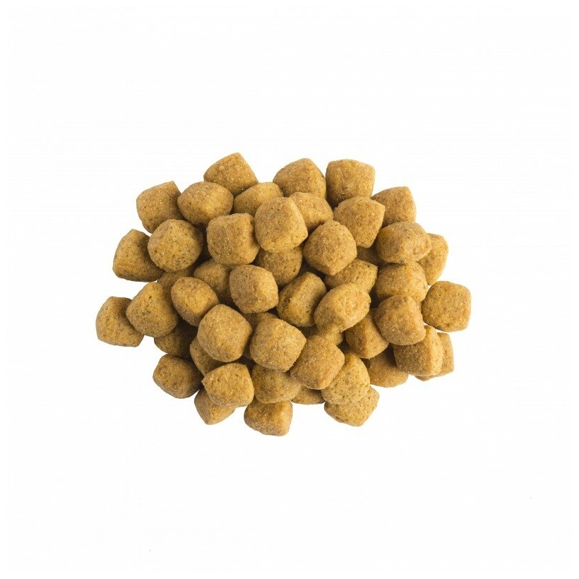 Корм для собак PURINA Pro Plan VETERINARY DIETS EN 1,5 кг Казахстан