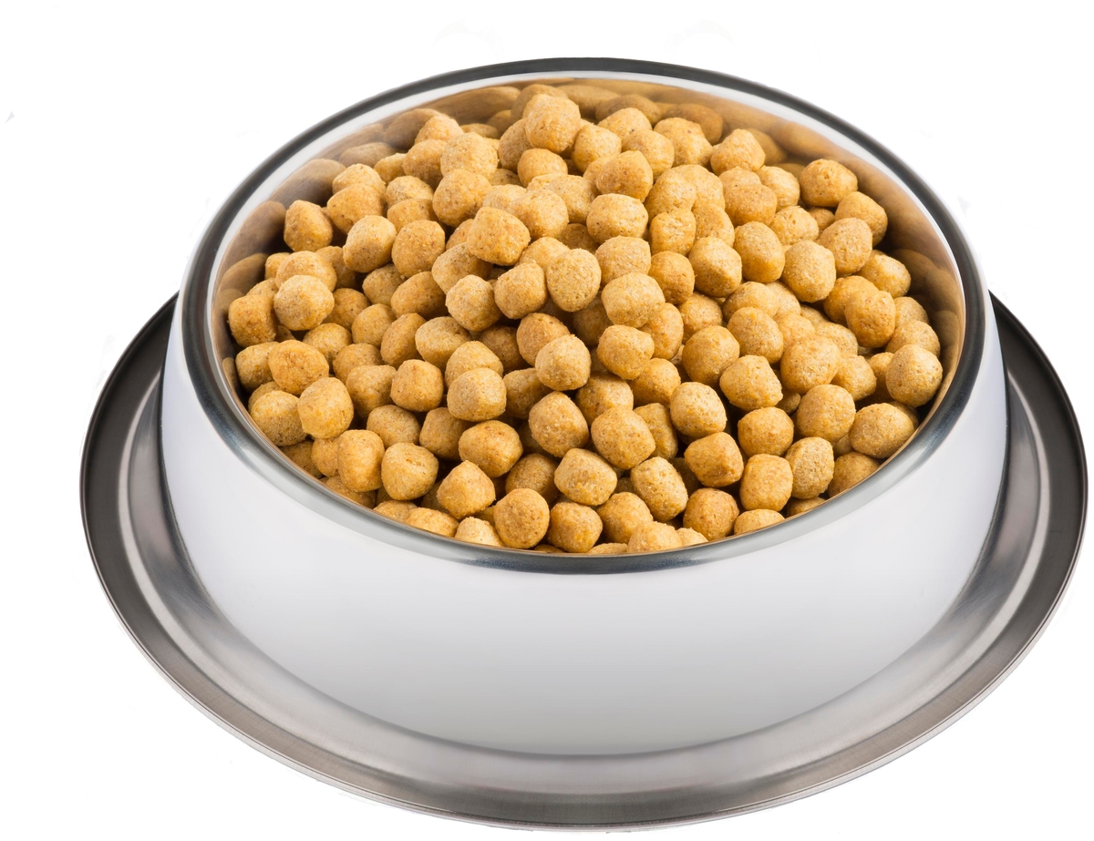 Корм для собак PURINA Pro Plan VETERINARY DIETS EN 1,5 кг Казахстан