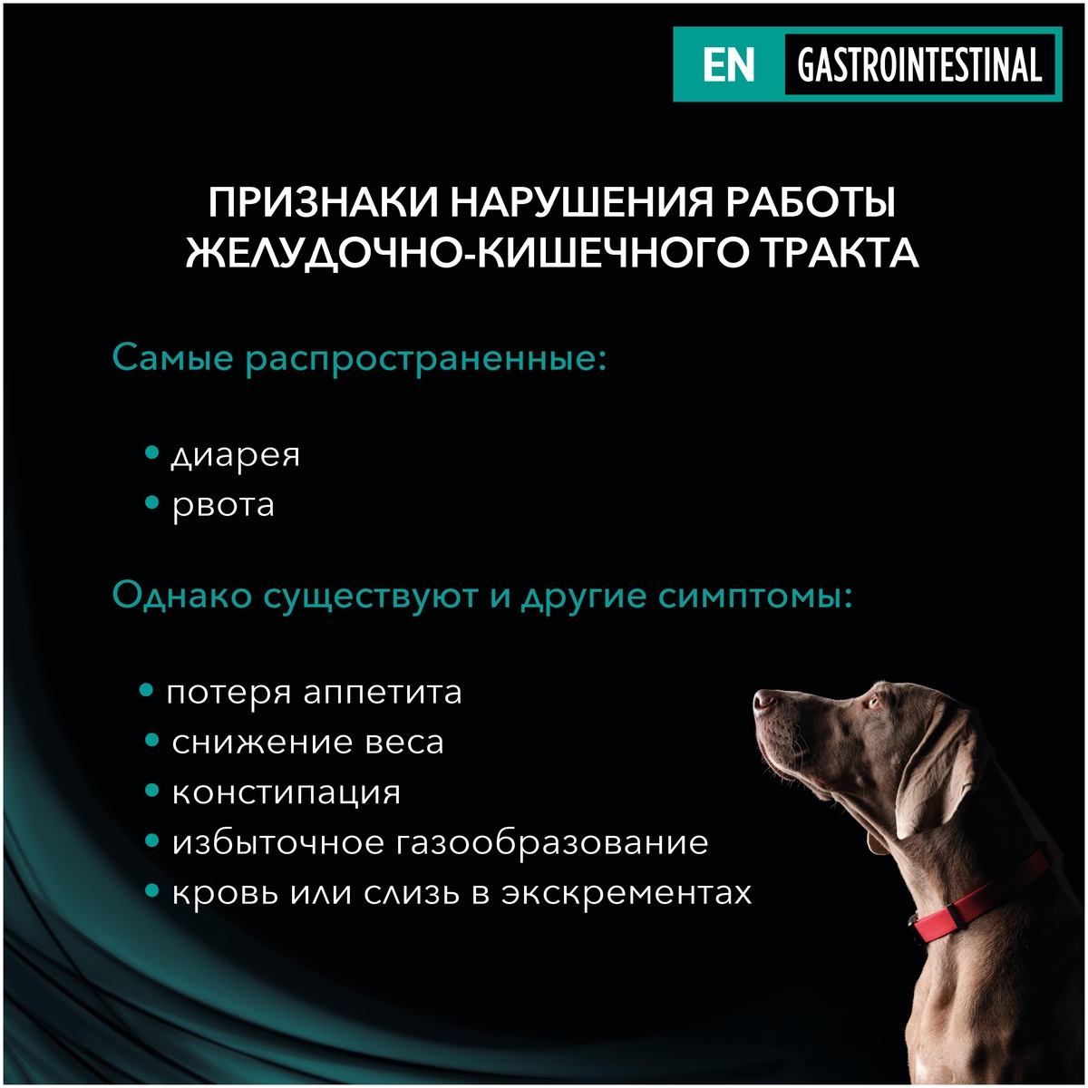 Корм для собак PURINA Pro Plan VETERINARY DIETS EN 1,5 кг Казахстан